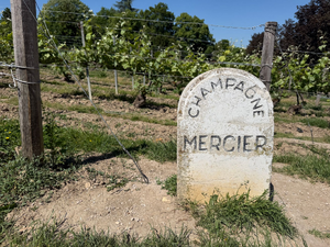 Plombier Meyzieu